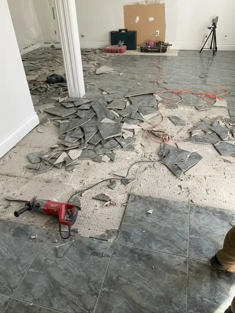 Removal & Disposal